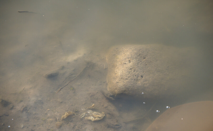 Image of sand and rocks under water